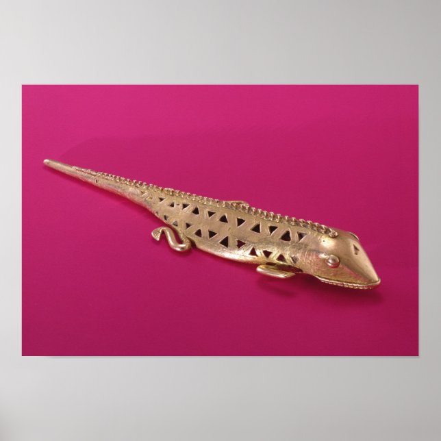 Lizard aus Kolumbien Poster (Vorne)
