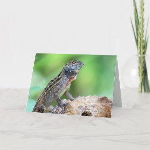 Lizard (Brown Anole) (6891) - Leere Innenseite Karte