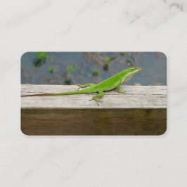 Lizard Business Cards Visitenkarte