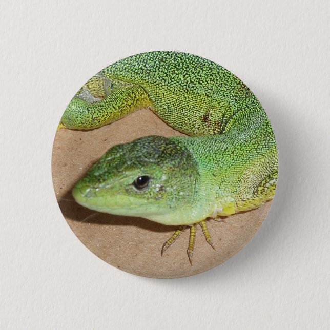 Lizard Button (Vorderseite)