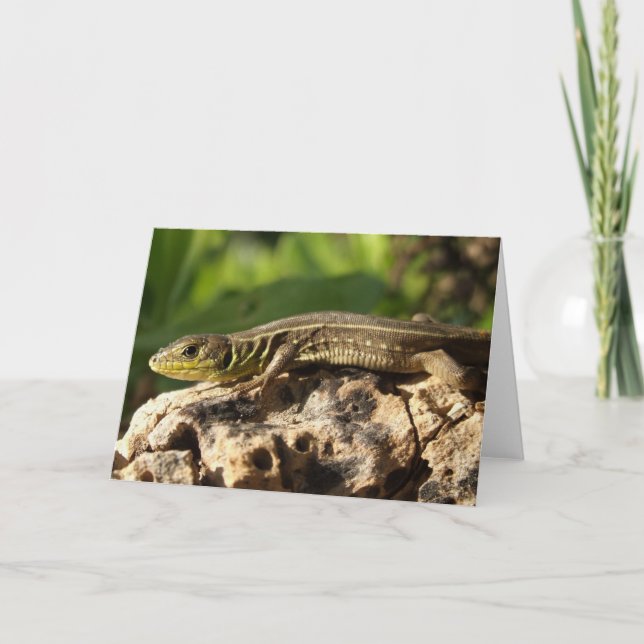 Lizard Card Karte (Vorderseite)