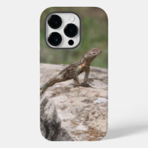 Lizard