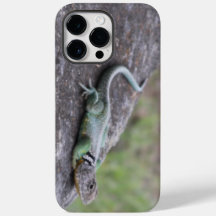 Lizard