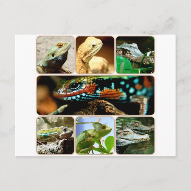 Lizard Collage Postkarte (Vorderseite)