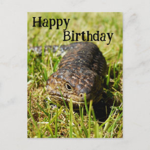 Lizard de langue bleue australienne, carte postale