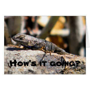 Lizard fragte "Wie geht es?"