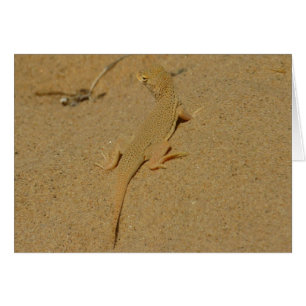 Lizard frange mojave