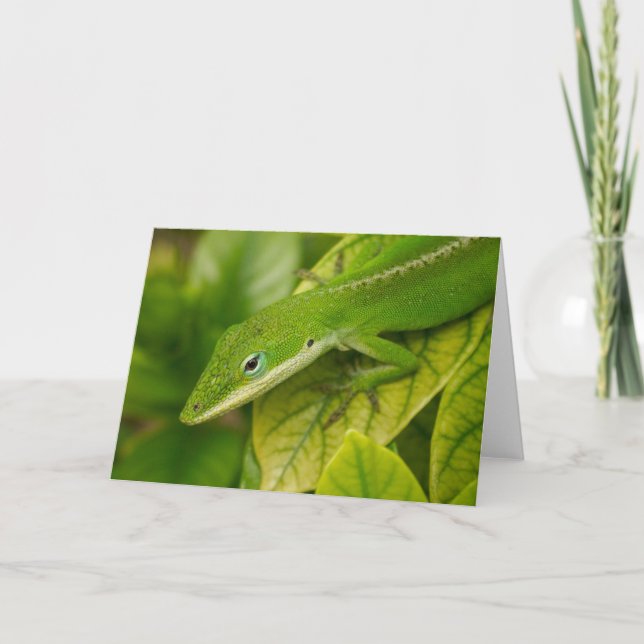 Lizard GC 001 Karte (Vorderseite)