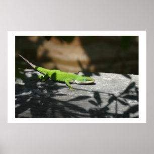 Lizard im Scrapwood Poster