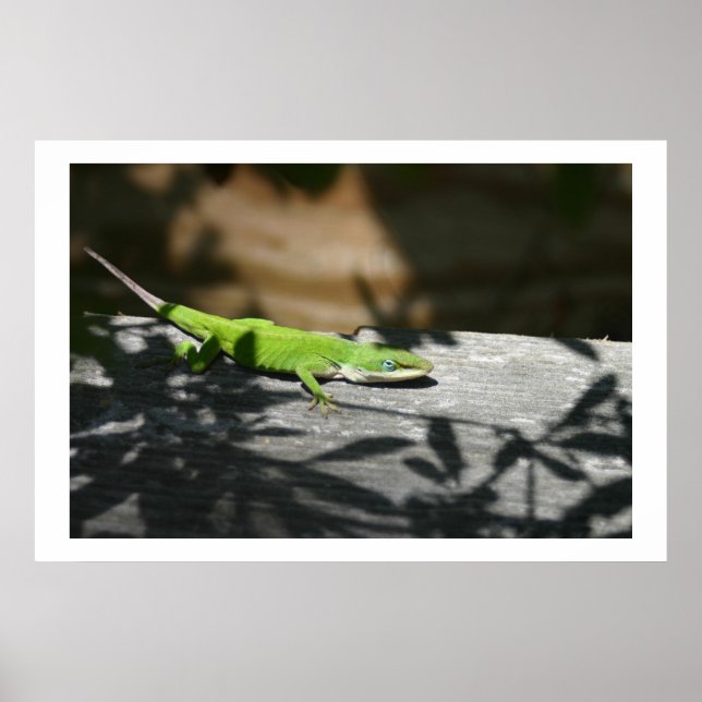 Lizard im Scrapwood Poster (Vorne)