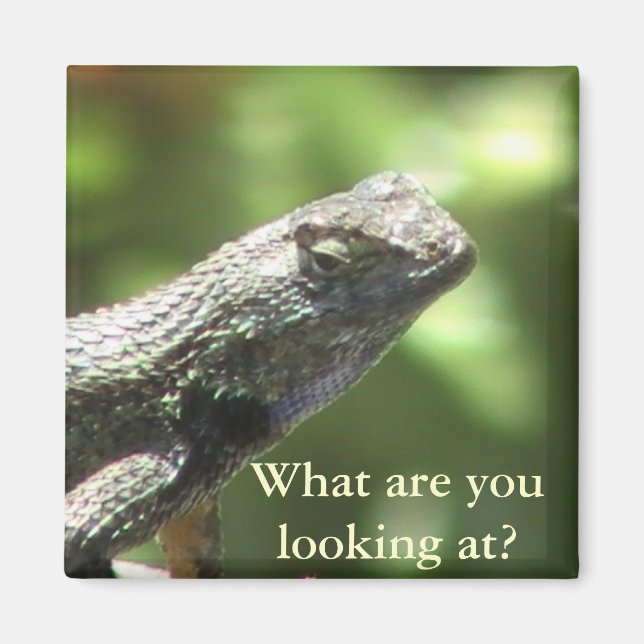 Lizard Magnet (Vorne)