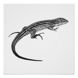 Lizard Monochrome Print Poster