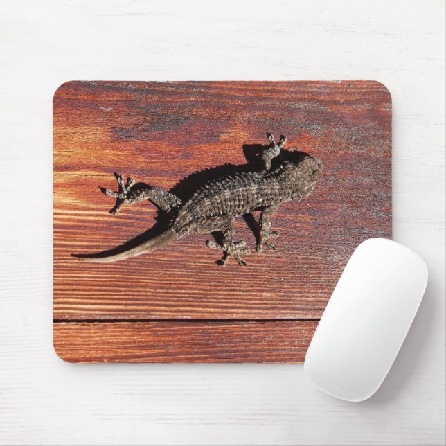 Lizard Mousepad (Mit Mouse)