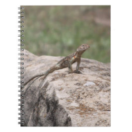 Lizard Notizblock