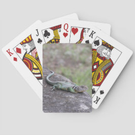 Lizard Spielkarten