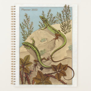 Lizard von Verneuil, Lézard, French Reptile Art, Planer