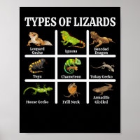 Lizards Reptilien