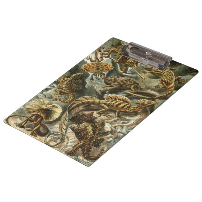 Lizards von Ernst Haeckel Vintag Lacertilia Animal Klemmbrett (Schrägansicht)