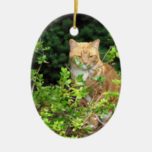 Lizzie, die Katze, im Vorgarten Keramikornament