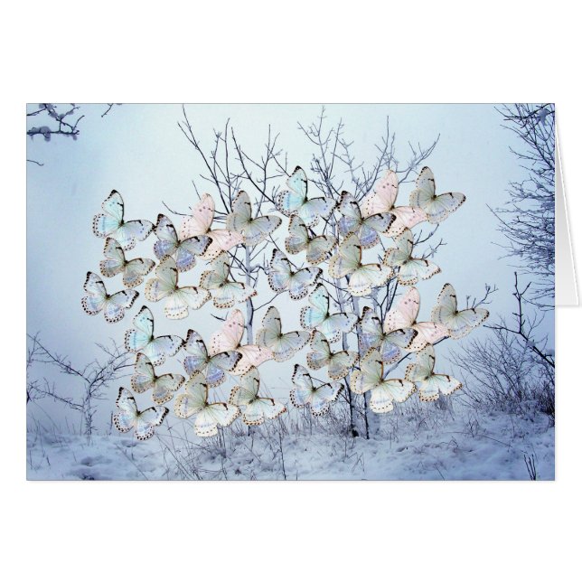 Ll de mirage d'hiver (Devant horizontal)