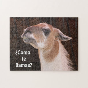 Llama