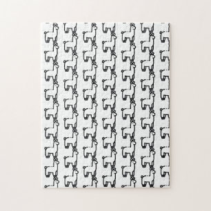 Llama