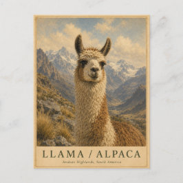 Llama Alpaka Anden VINTAGE Postkarte