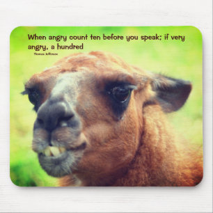 Llama Anger Management Zitat Inspiration Mousepad