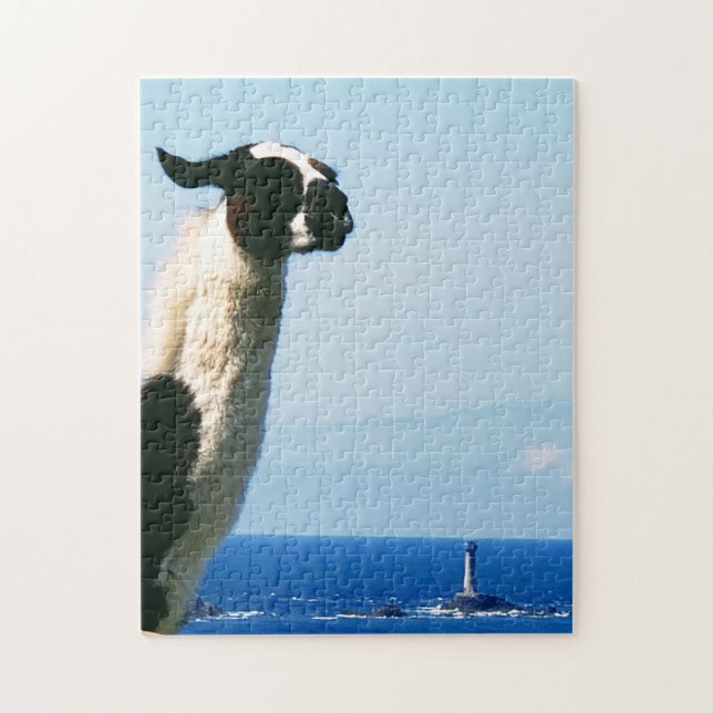 Llama at Lands End, Cornwall (Vertikal)