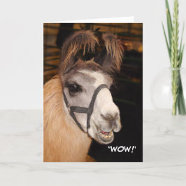 Llama Birthday Card Karte