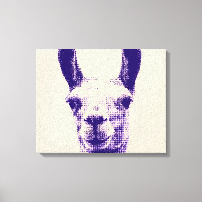 Llama Canvas Print Leinwanddruck (Vorderseite)