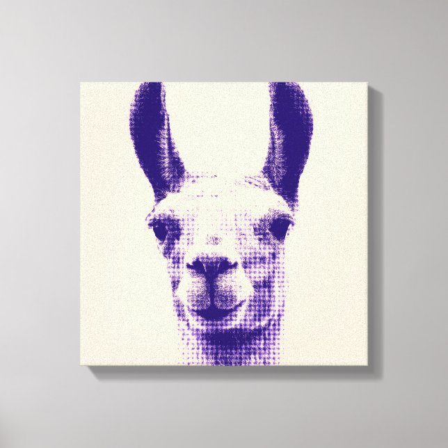 Llama Canvas Print Leinwanddruck (Vorderseite)