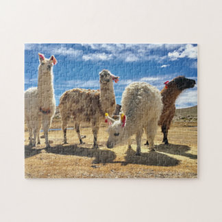 Llama-Crew