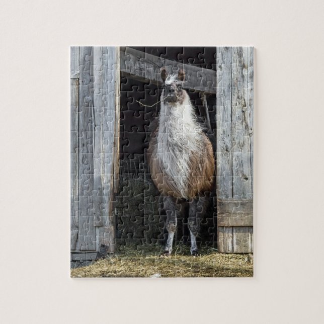 Llama, den Tag grüßen (Vertikal)