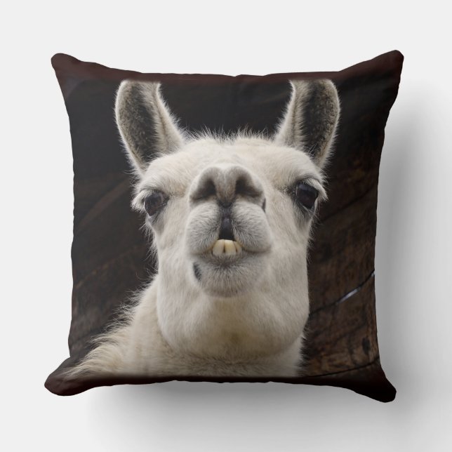 Llama Drama – Ich hab dich im Blick Kissen (Vorderseite)