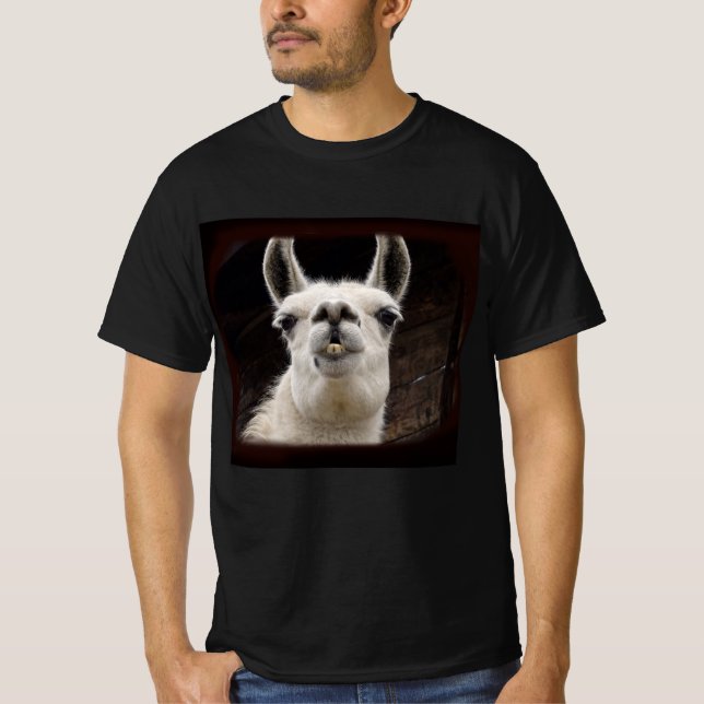 Llama Drama – Ich hab dich im Blick T-Shirt (Vorderseite)