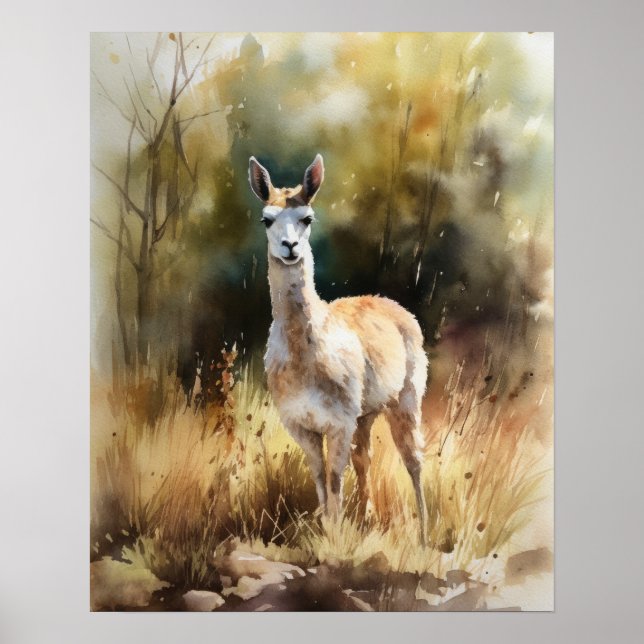 Llama Farm Animal Art Print Poster (Vorne)