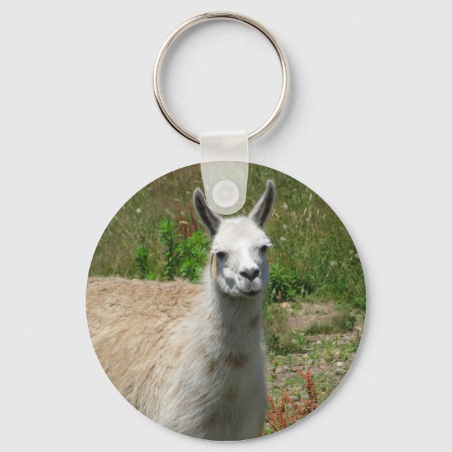Llama Fotograf Schlüsselanhänger (Vorderseite)