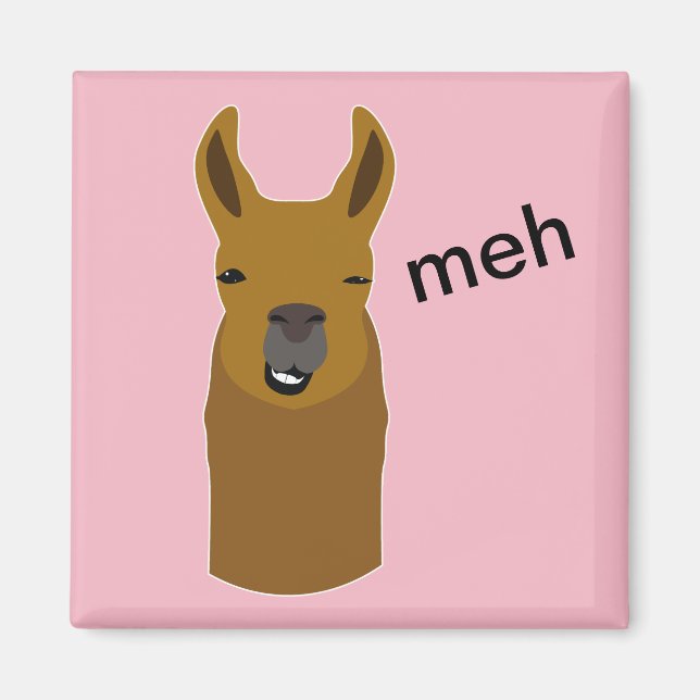 Llama Funny Face Magnet (Vorne)