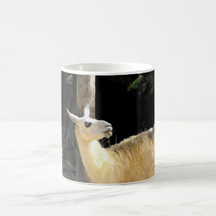 Llama fütternd kaffeetasse
