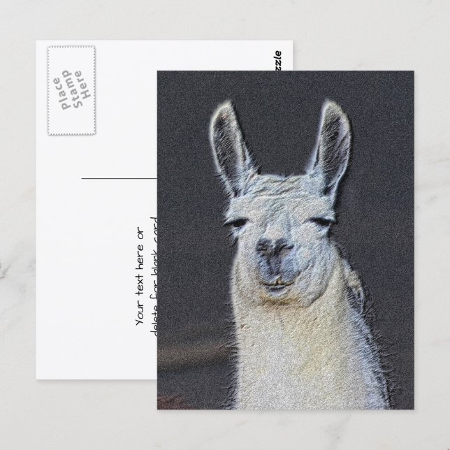 Llama-Gesicht Tier Kunst Personalized Postkarte (Vorne/Hinten)