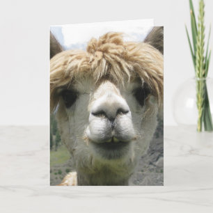 LLAMA I LILOVE YOU GREETCARDS KARTE