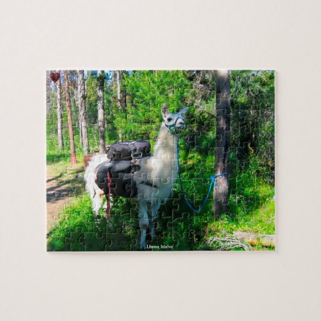 Llama Idaho (Horizontal)