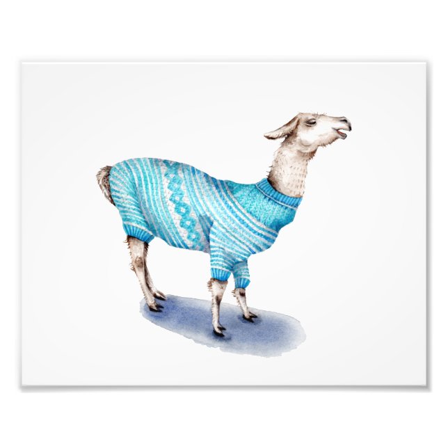 Llama in Blue Sweater Fotodruck (Vorne)