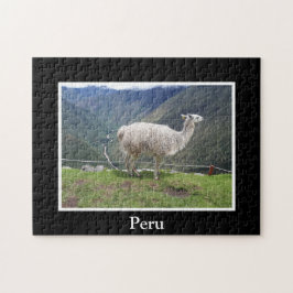 Llama Inca Wandern im Val Piora