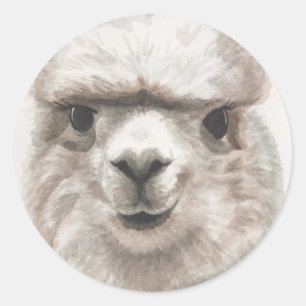 Llama Lächelt Set von 20 Stickers Umschlag Aufkleb