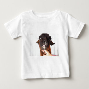 Llama-Liebe Baby T-shirt