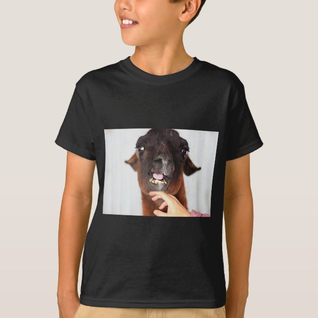 Llama-Liebe T-Shirt (Vorderseite)