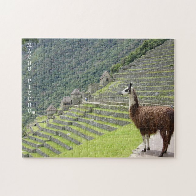 Llama Machu Picchu (Horizontal)