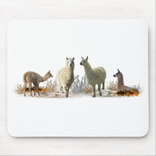 Llama Meadow Mousemat (Farbe auswählen) Mousepad